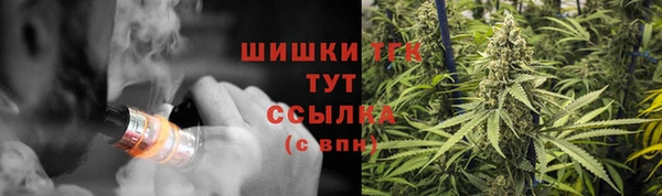 молекула духа Лиски