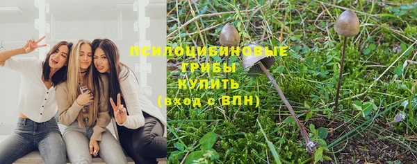 молекула духа Лиски
