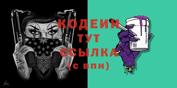 хмурый Липки