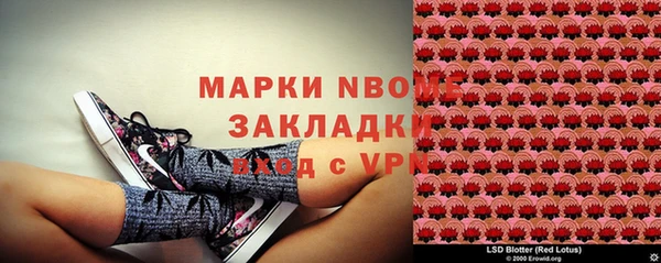 хмурый Липки