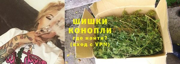 стаф Зеленодольск